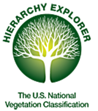 U.S. National Vegetation Classification Hierarchy Explorer Logo image