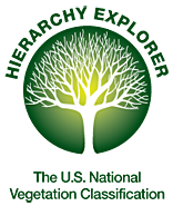 USNVC Logo